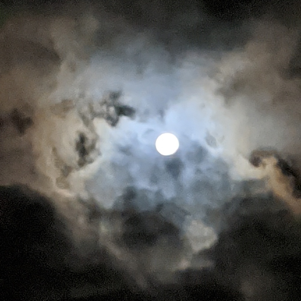 Meet your Posher, Sharon